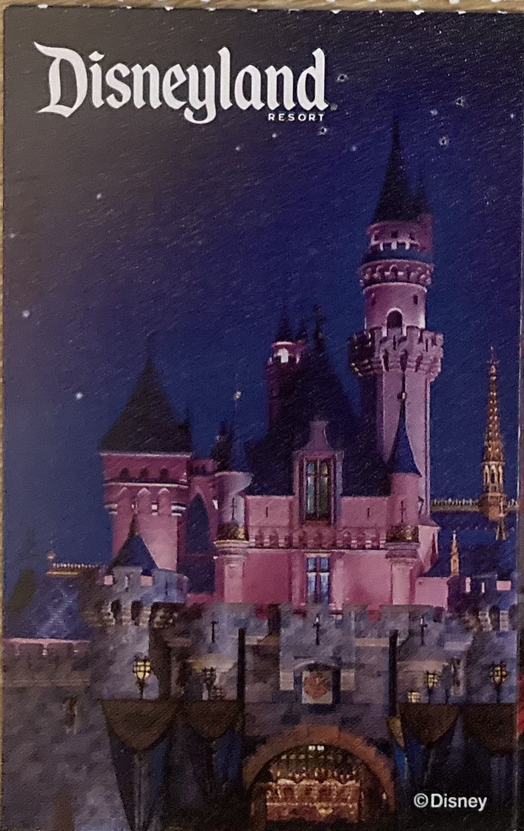 Disneyland Ticket 🎟️
