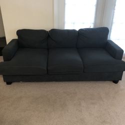 Sofa (1 Year Old)