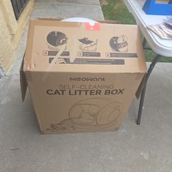 Meowing Litter Box