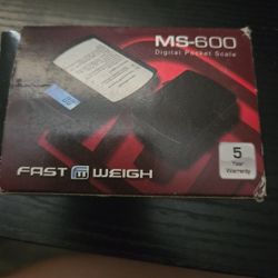 Fast Weigh Digital Pocket Scale 