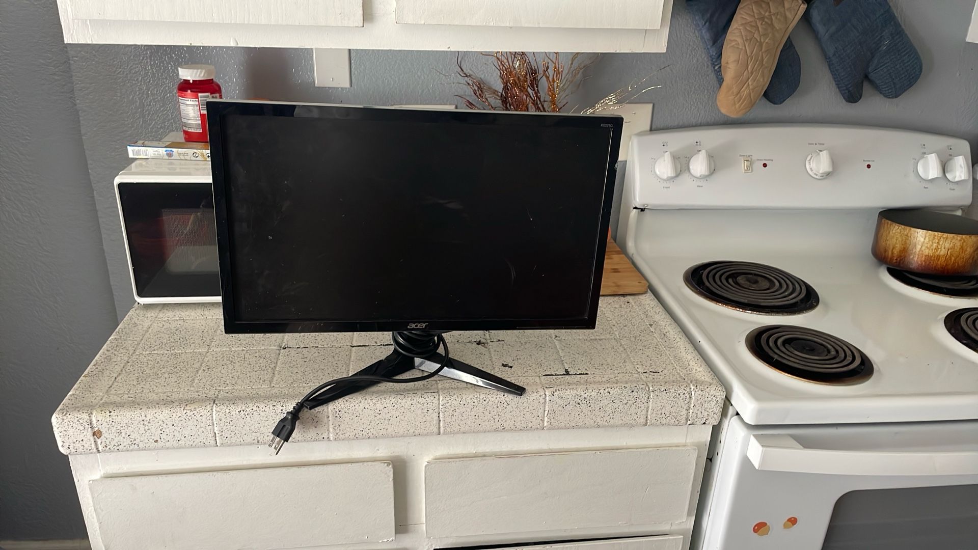 Game Monitor/ Computer 