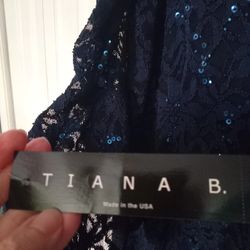 Navy Lace Sequince Dress