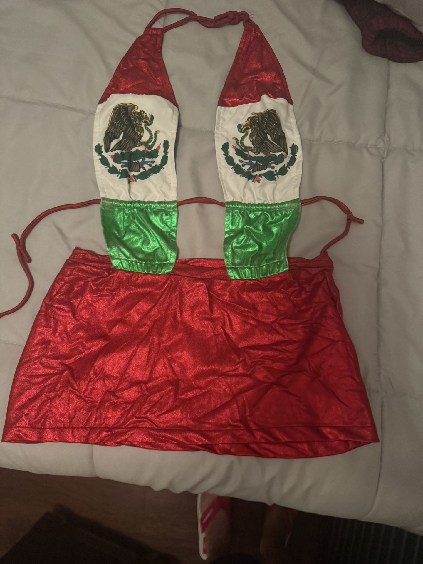 Sexy Flag Costume
