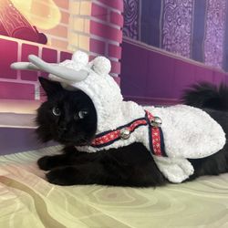 Free Reindeer Cat Suit XS