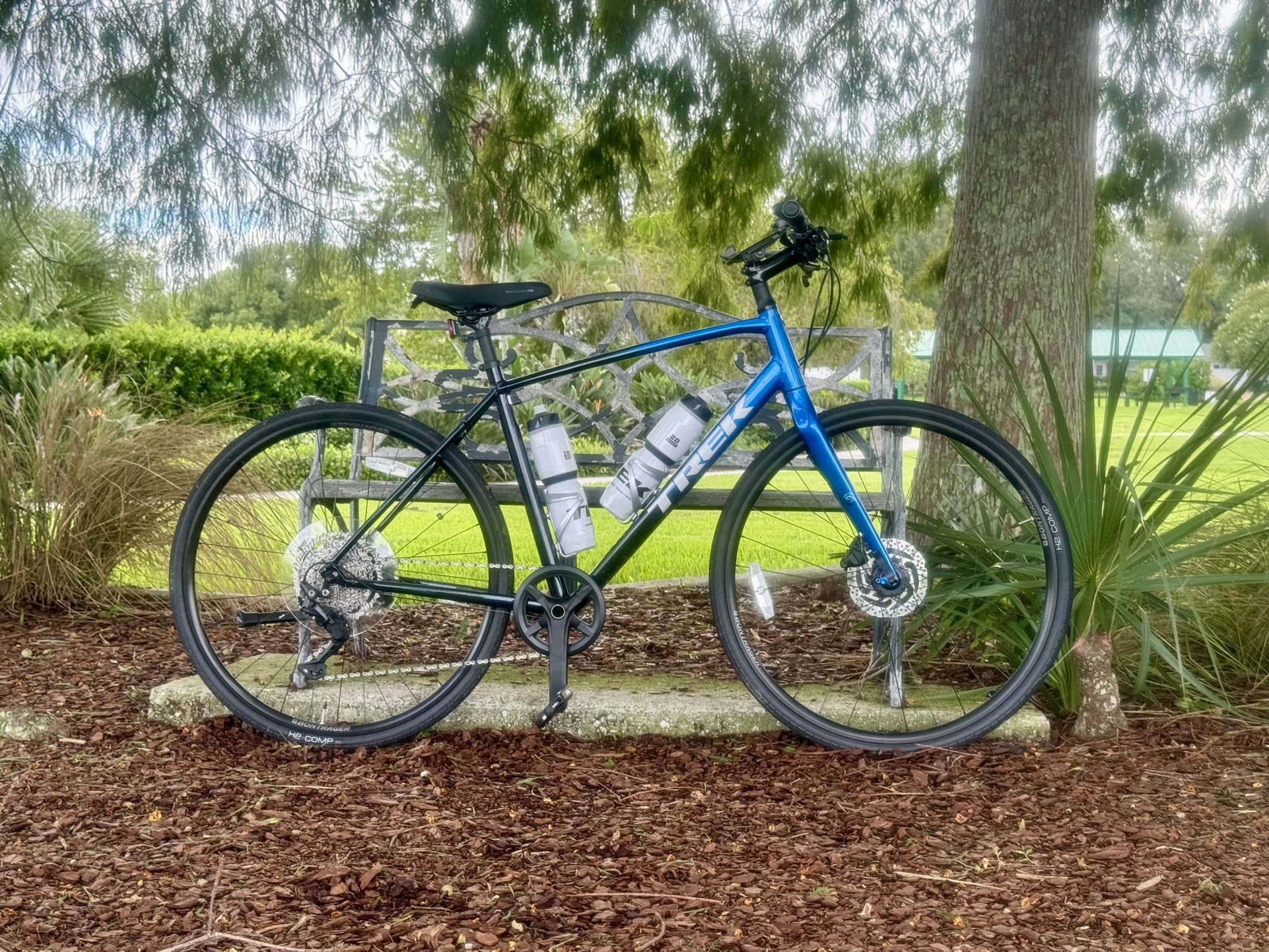 TREK FX 3
