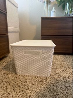 White Storage Bins