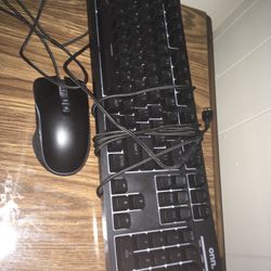 Mouse and Keyboard