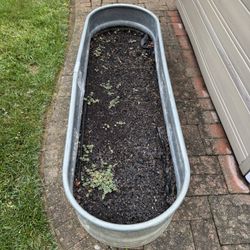 Galvanized Above Ground planting Tub