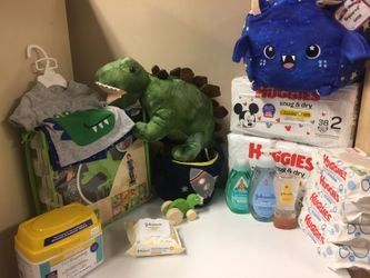 Dinosaur Baby Bundle