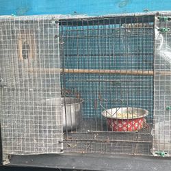 Bird Cage With Nest Box