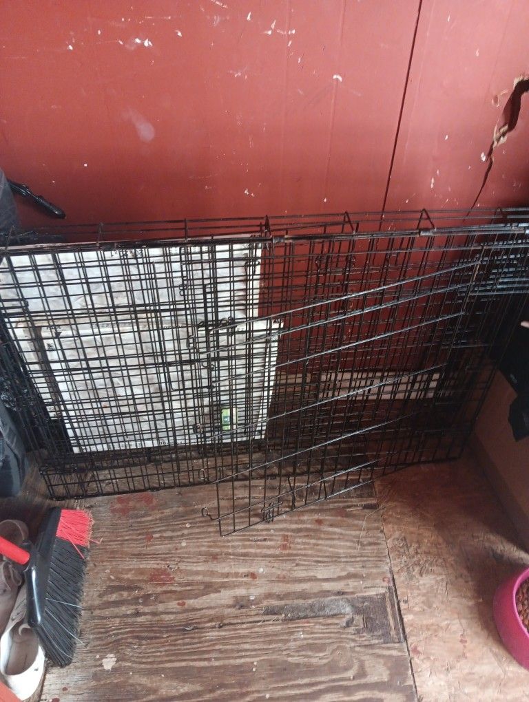 Xxxx Large Dog Crate Pick Up Today