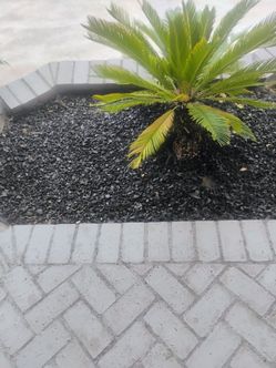 Black rubber mulch