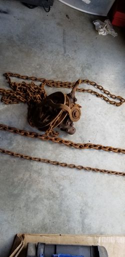 Hoist and chains