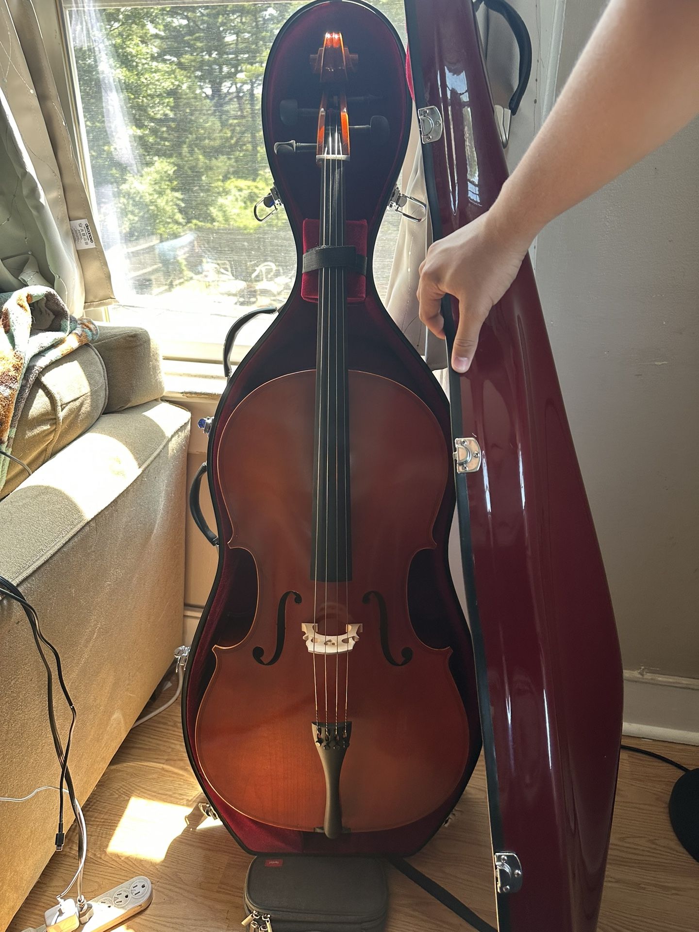 CELLO 4/4 Samuel Eastman VC80 (Made 2019) for Sale in Piscataway, NJ