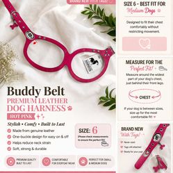 Buddy Belt Leather Dog Harness Size 6