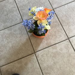 Flower Pot