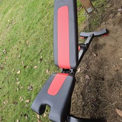 Bowflex Adjustable Weight Bench 