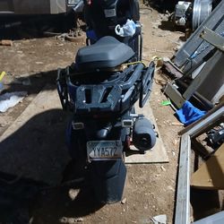 2025 ICE Bear Warrior