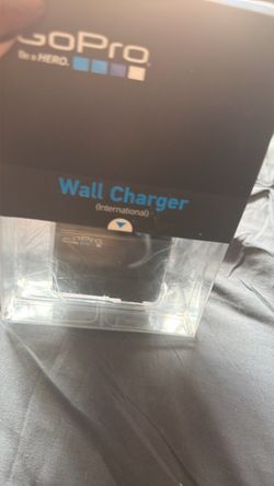 Go pro wall charger international