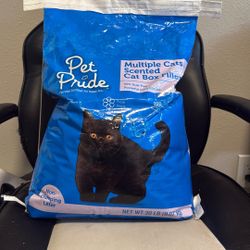 Cat Litter 