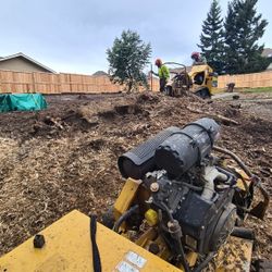 Stump Removal Made Easy