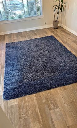 Blue 8 X 10 Rug