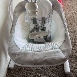 Baby Ingenuity Swing 