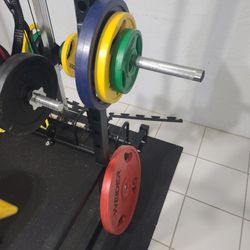 WEIDER RUBBER COATED OLYMPIC WEIGHTS