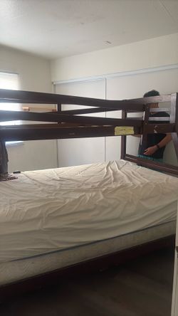 Free bunk bed
