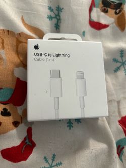 iPhone charger