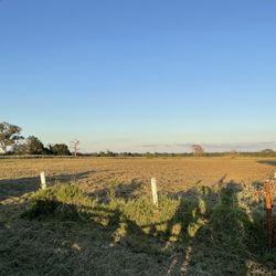 Tractor  For Clearing 