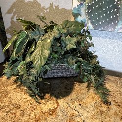 Artificial plant - for table/mantle - faux/fake foliage