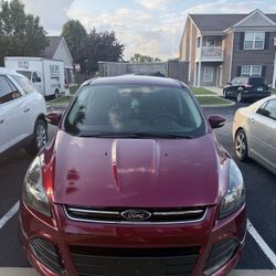 2013 Ford Escape