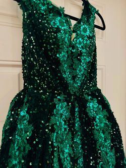 Quinceńera dress + hoop skirt (peticoat)