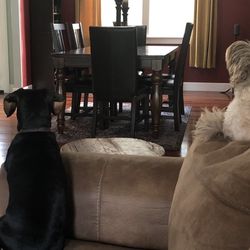 Dining Room Table W/ Six Chairs