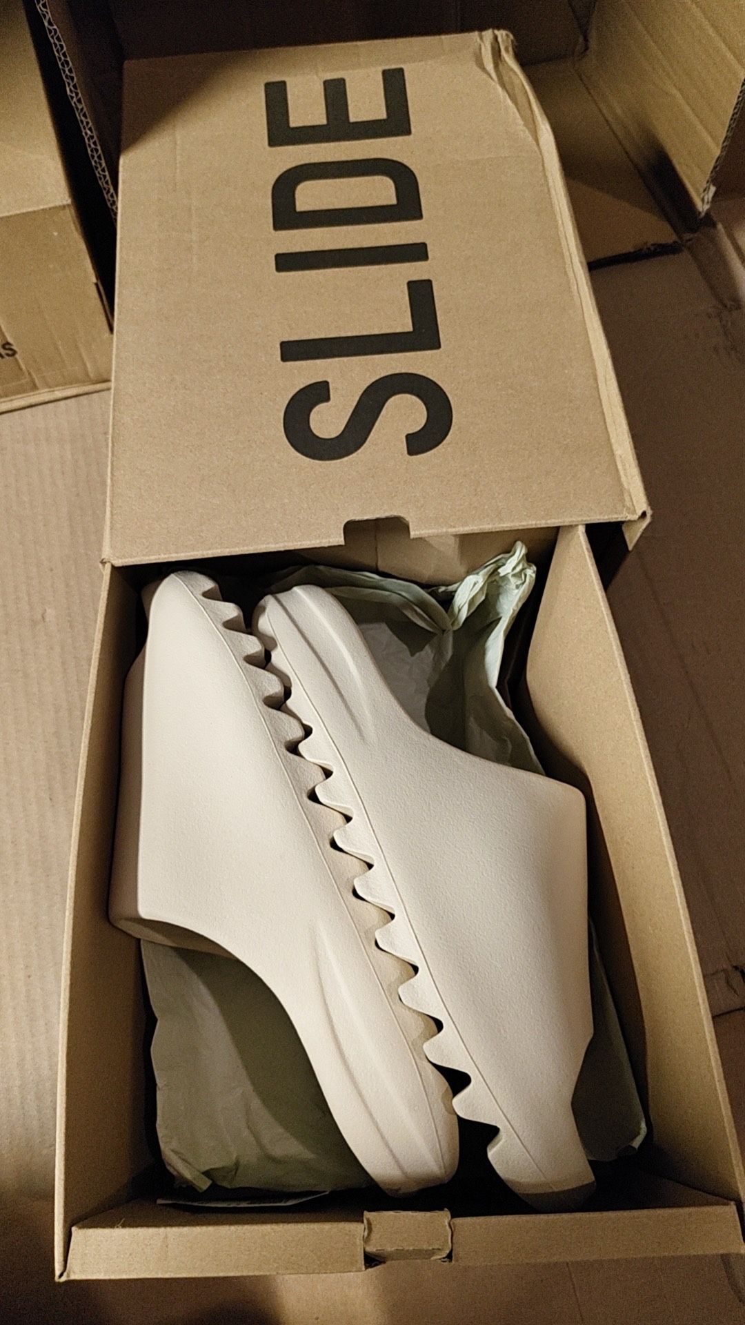 FZ5897 Size 11 Bone