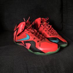 Lebron’s Size 10.5