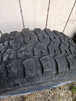 Wild country radial rtv