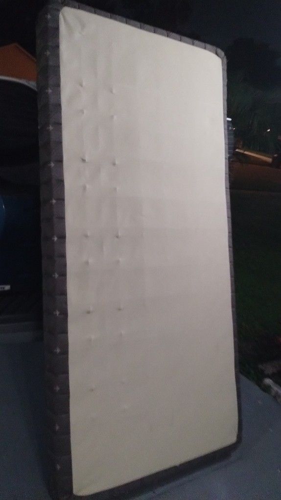 Twin Box Spring Only