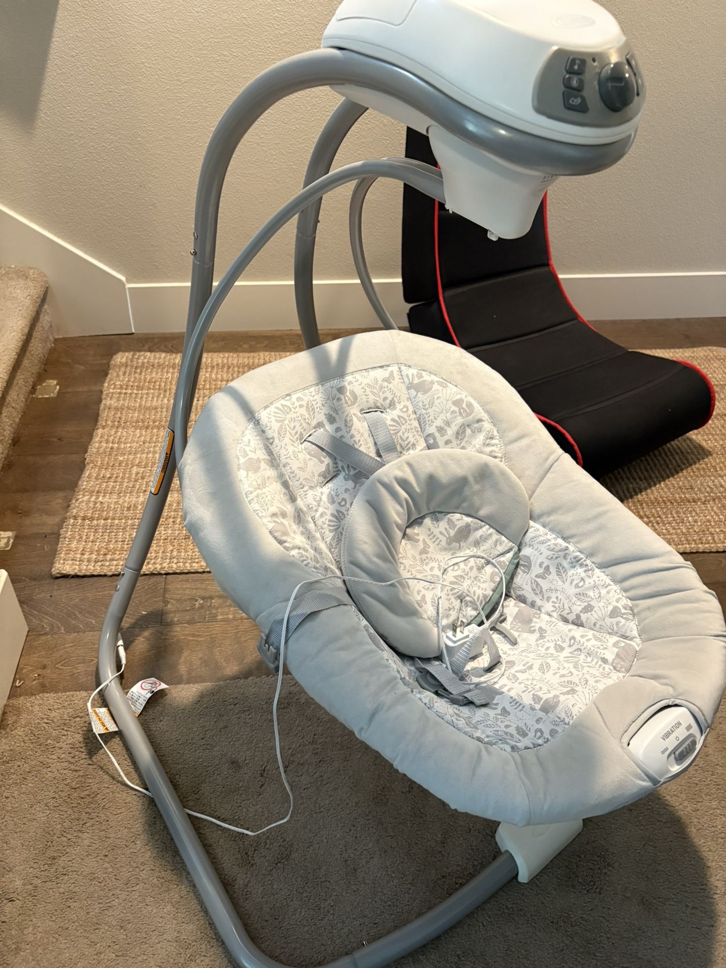 Graco Baby Swing