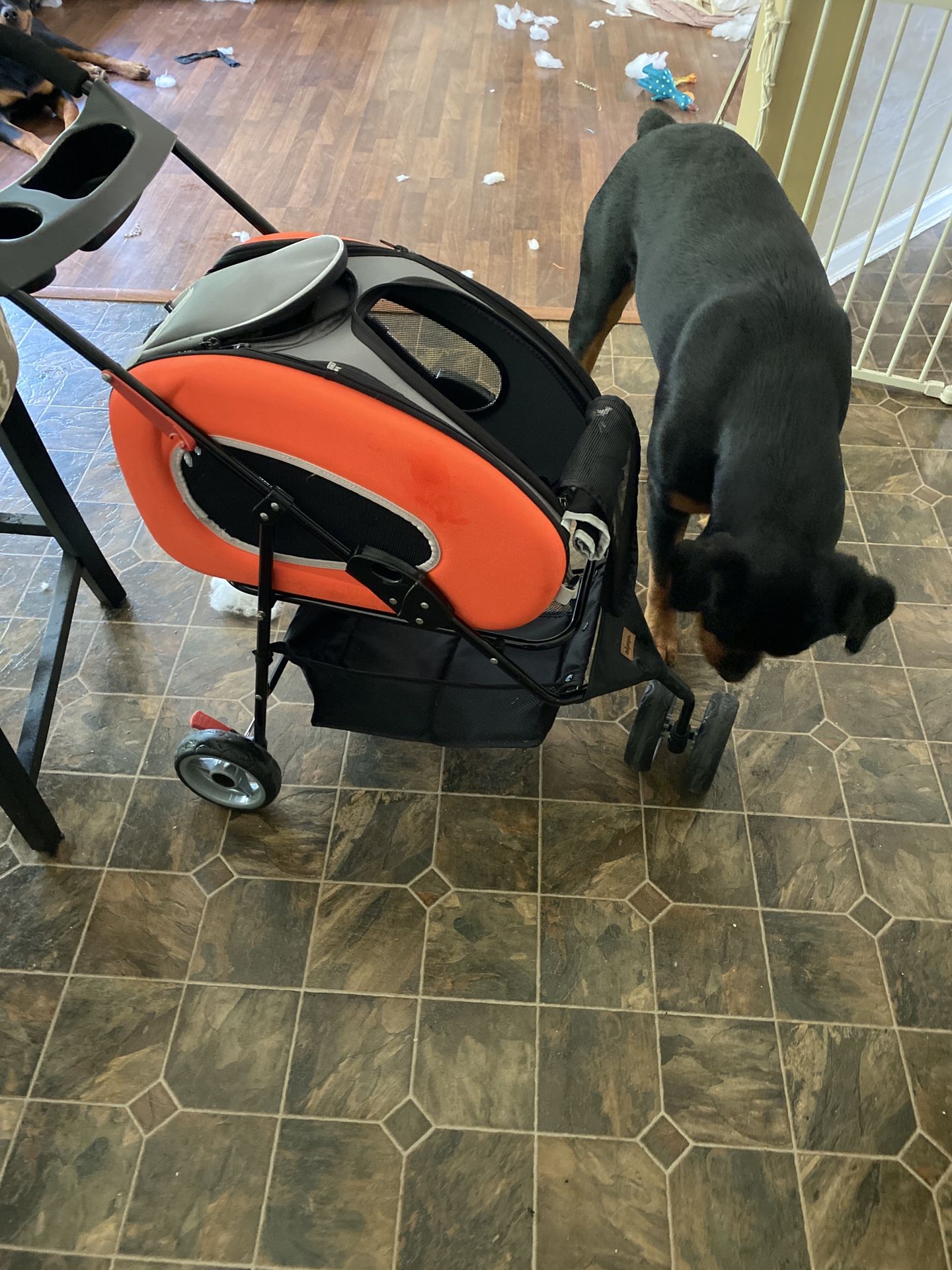 Like new dog stroller or cat stroller and backpack