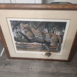 Gary Swanson print of a leopard 38 x 32.5 inches