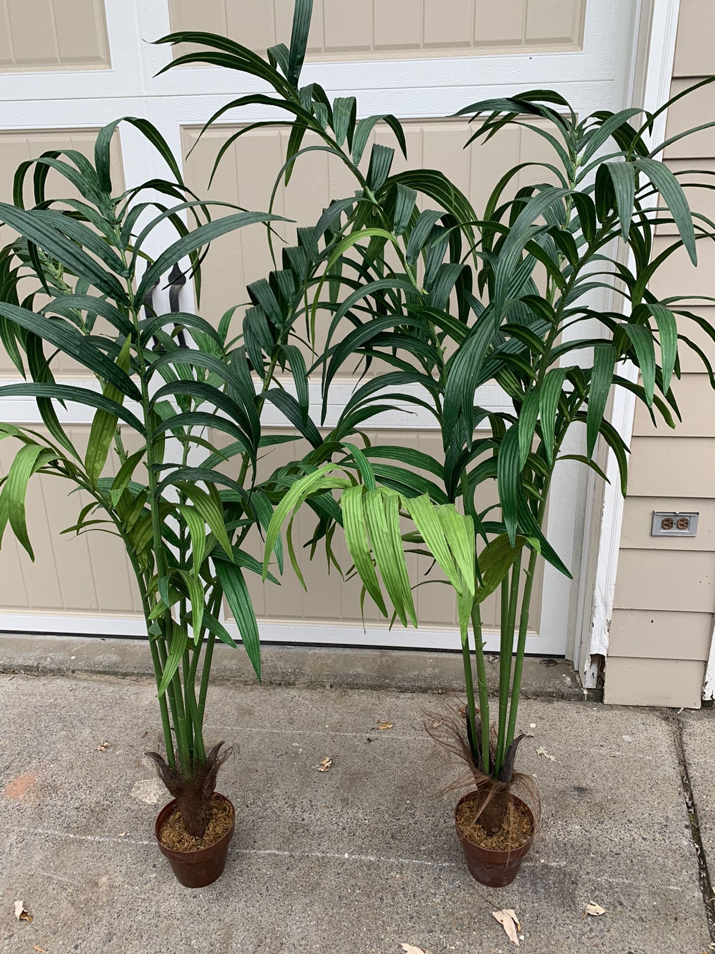 Two beautiful fake house plants