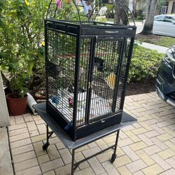 Bird Cage With Wheels