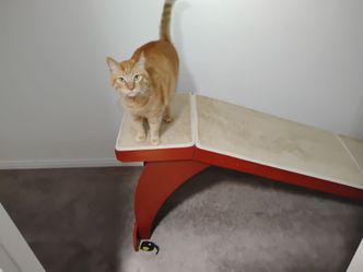 Dog and cat ramp, all wood, great condition