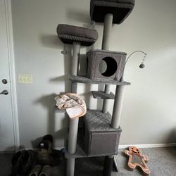 Cat Tower 