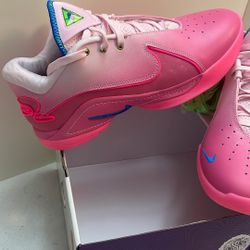 LeBron Nike  Promise 22