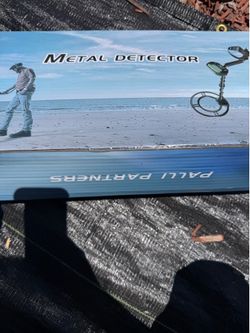 palli partners metal detector