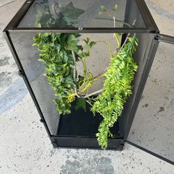 Chameleon Screen Cage New 