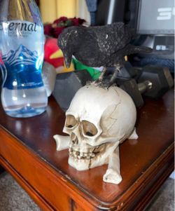 Crow/Skull Halloween Decor